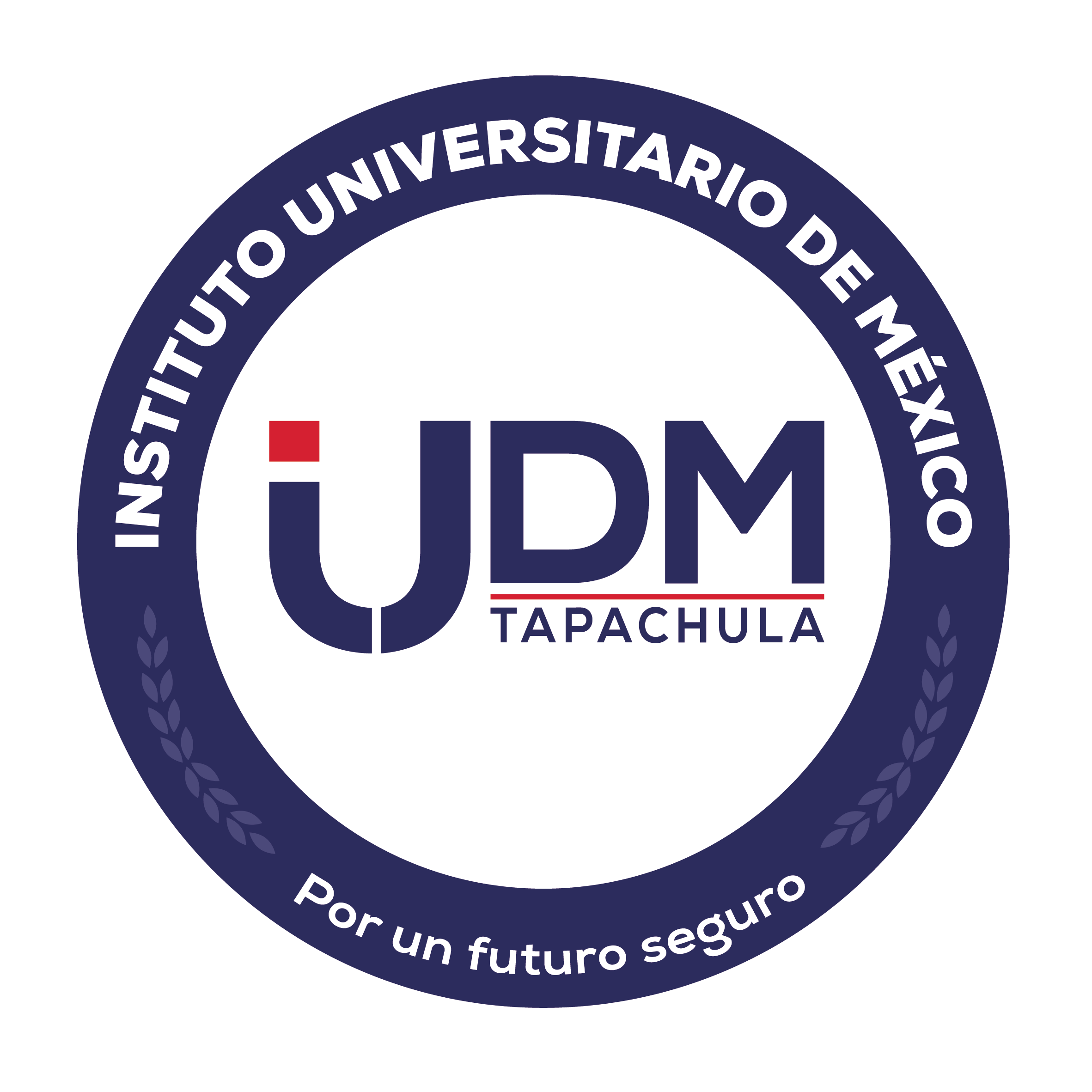 Plataforma Educativa iUDM
